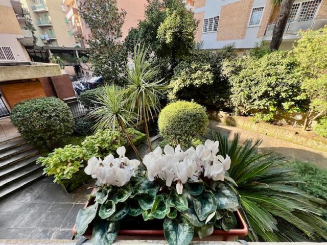 Ferienwohnung La Casa Delle Camelie Rom Exterior foto